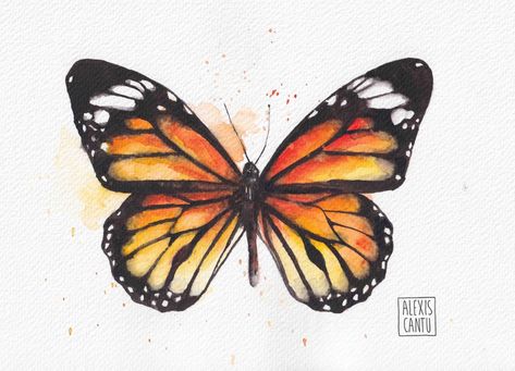 Monarch Butterfly Drawing, Monarch Butterflies Art, Inspiring Artwork, Doodle Inspiration, Watercolour Inspiration, Watercolor Projects, Feather Tattoo, Butterfly Drawing, Sketchbook Ideas