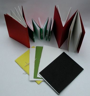 Chapbooks: The Pamphlet Stitch & The Art of Self Publishing New Class, Self Publishing, Blank Book, Building Blocks, Books, Art