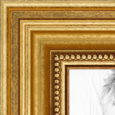 24x36 Dark Gold picture frame 8x10 Picture Frames, Collage Picture Frames, Custom Picture Frame, Wood Picture Frame, Gold Picture Frames, Wood Picture, Picture Collage, Gold Wood, Wood Picture Frames