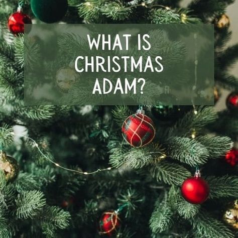 What is Christmas Adam? (A Fun Filled Tradition) Christmas Adam Traditions, Christmas Adam, Day Before Christmas, Christmas Activities For Families, Christmas Bucket List, Christmas Bucket, Christmas Traditions Family, Days Before Christmas, Christmas Tradition