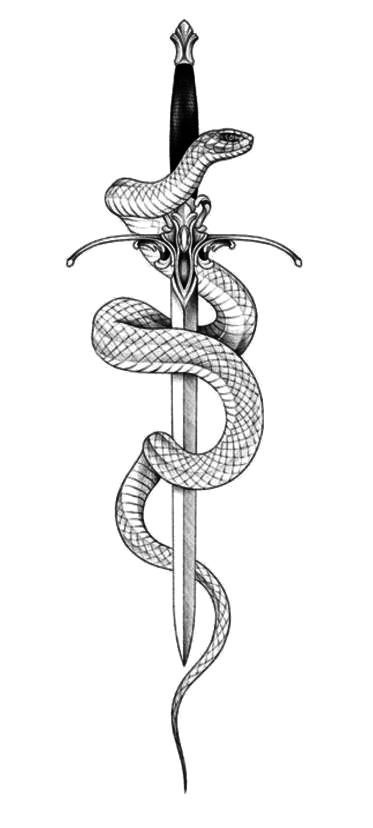 Snake And Dagger Tattoo, Arm Tattoo Design, Snake Tattoo Ideas, Small Inspirational Tattoos, Back Tattoos Spine, Water Lily Tattoos, 30 Tattoo, Compass Art, Serpent Tattoo