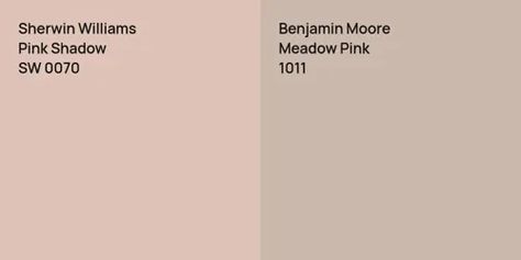 Sherwin Williams Pink Shadow vs. Sherwin Williams Sashay Sand color comparison Sherwin Williams Pink Shadow, Sherwin Williams Pink, Sashay Sand, Benjamin Moore Pink, Pink Paint, Complimentary Colors, Sand Color, Benjamin Moore, Sherwin Williams