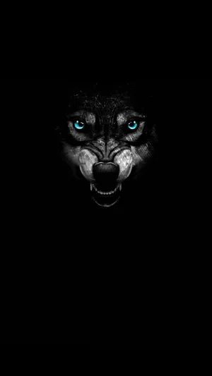 Wolf Black Background, Black Wolf Wallpaper, Wolf With Blue Eyes, Detailed Tattoos, Dog Wallpaper Iphone, Wolf Background, Wolf Images, Wolf Painting, Glow Stars