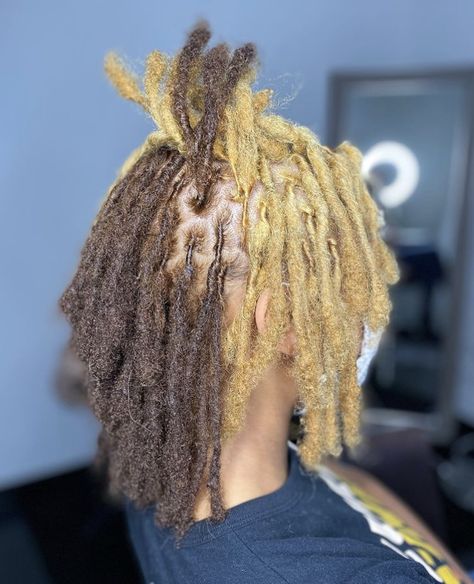 Colors To Dye Your Locs Black Women, Half Colored Locs, Dyed Starter Locs Black Women, Locs Colors Ideas, Half And Half Locs Color, Locs Hair Color Ideas, Blonde Skunk Stripe Locs, Locs With Peekaboo Color, Dreadlock Dye Ideas For Black Women