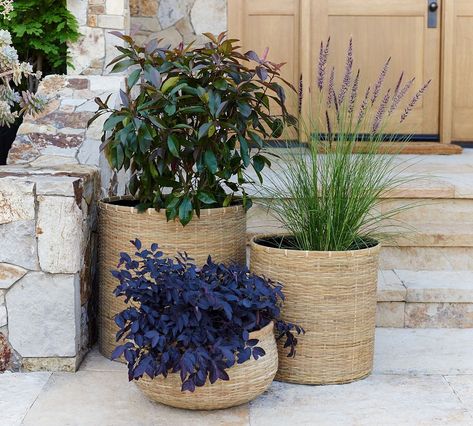 Estelle Handwoven Planter | Pottery Barn (US) Holiday Entryway, Woven Planter, Planter Pottery, Front Porch Planters, Porch Planters, House Updates, Gallery Frames, Lifestyle Photos, Jewelry Organizer Storage