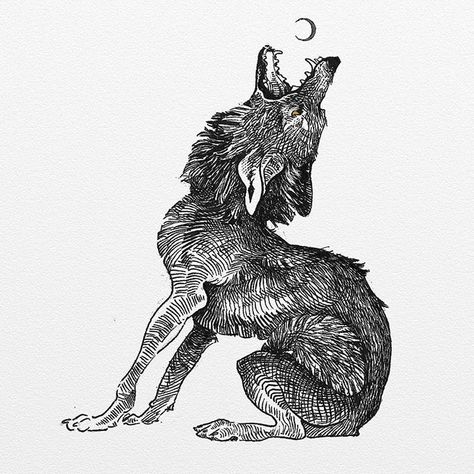 Coyote Drawing, Coyote Tattoo, Beautiful Bizarre, Howling At The Moon, Inuit Art, Oil Art, Howl At The Moon, Wolf Howling, Wolf Dog