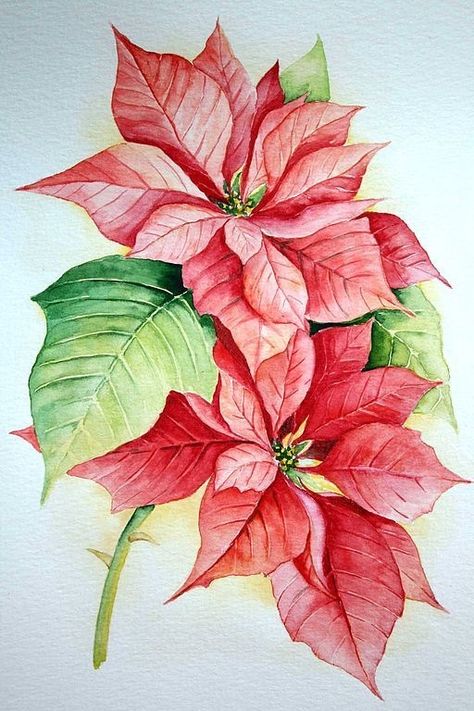 Christmas Swag, Christmas Card Art, Watercolor Christmas Cards, Watercolor Flower Art, Watercolor Flowers Paintings, Watercolor Art Lessons, Botanical Painting, Christmas Drawing, Flower Art Painting