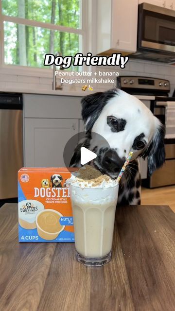 Dogsters Ice Cream for Dogs on Instagram: "Happy National Milkshake Day! 

Dog-friendly Peanut Butter + Banana Dogster’s Milkshake 🥤

Recipe
🍌: Banana
🥜: Dog-safe peanut butter
🍨: @Dogsters ice cream 

(Optional)
🍦: Whip Cream
🍭: Treats

Directions: 
Combine banana, Dogsters ice cream, and peanut butter in a blender and blend until combined. Optional, top with whipped cream and top with your dog’s favorite treat(s), and ENJOY!

Dogster’s has multiple flavors to choose from including Mintë Kissably Fresh, Bacon, and even a dairy-free pumpkin flavor! What flavor will you try for this recipe?" Doggy Ice Cream Recipes, Diy Doggie Ice Cream, National Milkshake Day, Peanut Butter Dog Ice Cream, Doggie Ice Cream, Dog Eating Ice Cream, Dog Ice Cream, Dairy Free Pumpkin, Milkshake Recipes