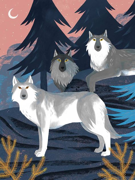 Kaley McKean, Illustrator of Howl like a Wolf! : The Childrens Book Review Howling Wolf Illustration, Wolf Infographic, Wolf Illustration Cute, Wolf Illustration Drawing, Cute Wolf Illustration, Wolf Illustration Art, Wolves Illustration, Pinguin Illustration, Wolf Drawings