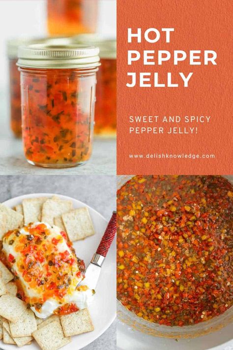 Hot Pepper Jelly Recipe 13 Jalapeno Appetizer, Appetizer Easy, Grow Lettuce, Pepper Jelly Recipes, Hot Pepper Jelly, Preserving Foods, Canning Food, Jalapeno Recipes, Jelly Recipe