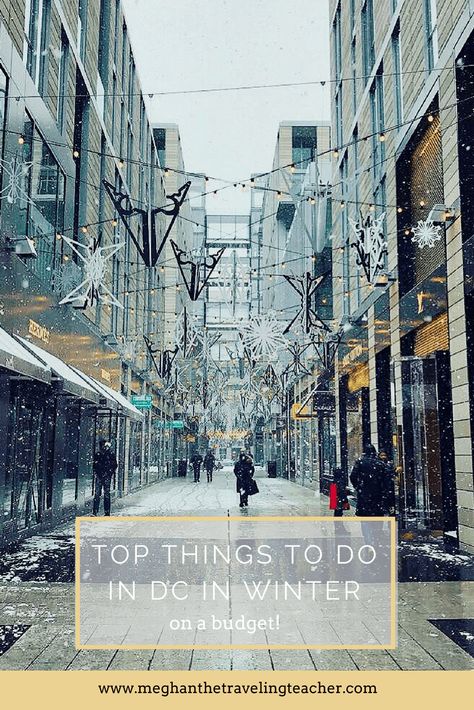 Winter in DC - Fun Things to Do on a Budget – The Traveling Teacher Dc In Winter, Dc At Christmas, Things To Do In Dc, Dc Trip, Traveling Teacher, Destination Ideas, Dc Travel, Us Road Trip, Usa Travel Guide