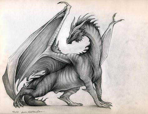 Sitting Dragon, Dragon Drawings, Stealth Fighter, Dragon Lady, Mythical Monsters, Fantasy Dragons, Dragon Stuff, Dragon Artwork, Dragon Drawing