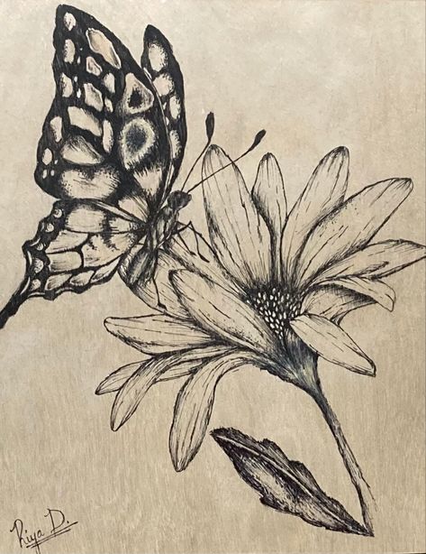 Flower And Butterfly Sketch, Pen Nature Drawings, Decorative Drawing Ideas, Roses Aesthetic Drawing, Butterfly On Flower Drawing, Butterfly And Flower Drawing, Flower And Butterfly Drawing, Line Art Butterfly, Drawing Of Flowers