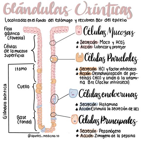 Medicine, Instagram Profile, Bullet Journal, Map, On Instagram, Instagram