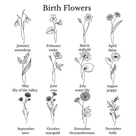 Tattoos To Represent Daughters, Tattoos For January Birthday, May June July Flower Tattoo, Chrysanthemum And Snowdrop Tattoo, September Month Flower, February Birth Month Tattoo Ideas, September And June Birth Flower Tattoo, Snowdrop And Lily Of The Valley Tattoo, January And June Birth Flower Tattoo