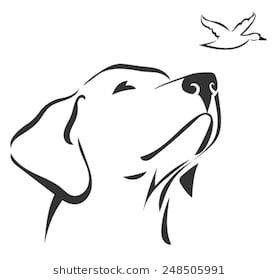 Labrador head 3 Dog Head Sketch, Outline Of A Labrador, Labrador Outline Drawing, Outlines Of Drawings, Labrador Silhouette Tattoo, Labrador Line Tattoo, Labrador Line Art, Labrador Drawing Simple, Labrador Tattoo Ideas