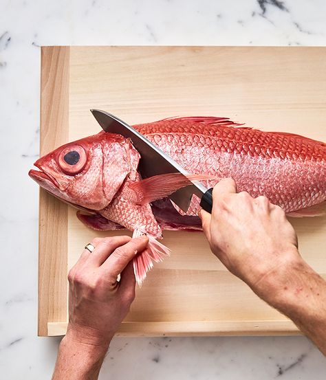 Learn how to fillet fish at home with this step-by-step guide from Josh Niland, chef and owner of Sydney seafood restaurant Saint Peter. For serious quality fish, there's no substitute for buying fish whole and filleting them yourself, according to Josh. Josh Niland, Best Knots, Cleaning Fish, Saint Peter, How To Cook Fish, Buy Fish, Fish And Meat, Small Fish, Catching Fish