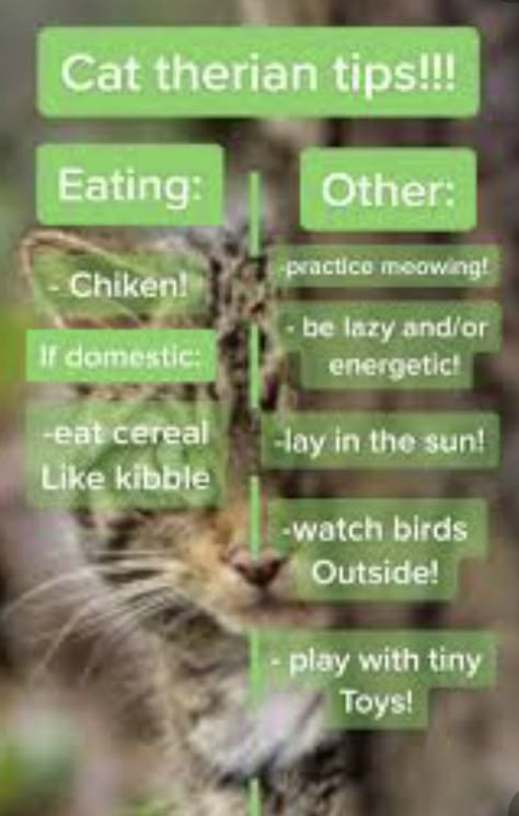 Therian Tips Cat, Tips For Cat Therian, Tips For Therians, Cat Therian Tips, Therian Journal Ideas, Therian Tips, Therian Ideas, Cat Therian, Warrior Names