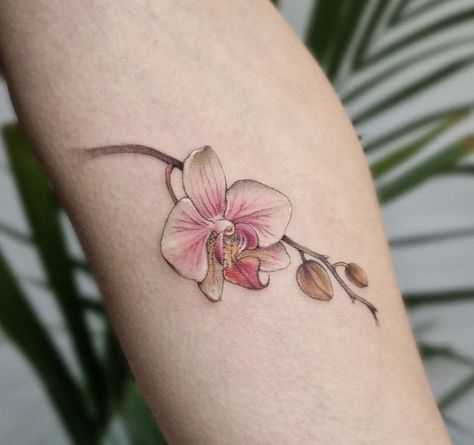 Orchid Color Tattoo, Orchid Tattoo Design, Simple Unique Tattoos, Small Tattoos Ideas, Tattoo Thoughts, Flower Tattoo Ideas, Magic Runes, Ear Tattoo Ideas, Orchid Tattoo