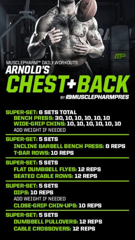 Arnold's Chest and Back Arnold Chest And Back Workout, Arnold Split Workout, Muscletech Workouts, Back Workout Plan, Musclepharm Chest, Functional Bodybuilding, Chest Back Workout, Musclepharm Workouts, Arnold Workout