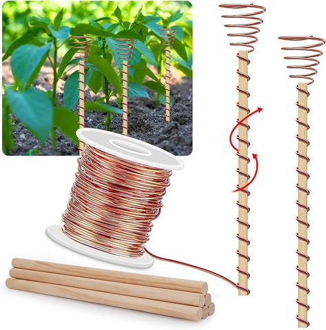 Amazon.com : Copper Wire for Electroculture Gardening Antenna, 8 Electroculture Plant Stakes, 99% Electro Culture Gardening Soft Pure Copper Antennas Coil for Growing Garden Plants, 127 Feet/39m, 1 Pound Spool : Patio, Lawn & Garden Electroculture Gardening, Electro Culture, Pyramid Healing, Garden Companion Planting, Growing Garden, Hydroponics Diy, Planting Pots, Plant Stakes, Plant Care Houseplant