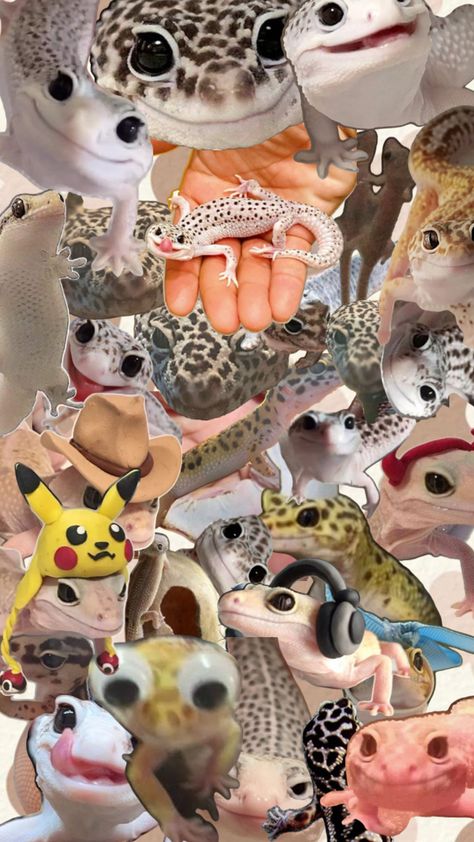 Gecko Wallpaper, Baby Animals Pictures, Animals Pictures, Gecko, Animal Pictures, Baby Animals, Animals