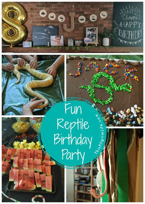 Reptile fans will love this fun reptile birthday party! A cool DIY snake cake, a reptile obstacle course that led to a den of (stuffed snakes), and a hands-on snake and lizard experience were a few of the highlights from the party. Reptile Party Ideas, Lizard Party, Reptile Birthday Party, Snake Cake, Wild Kratts Birthday Party, Diy Snake, Snake Cakes, Snake Birthday, Pilgrim Life