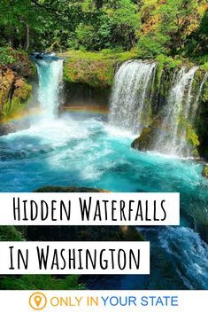 Want to hear a secret? There's an incredibly beautiful waterfall hidden in Washington State. The trail is short, but occasionally steep. Still, it's worth it to see this gem. | Washington Hiking | Trails | Short Hikes | Waterfalls Hikes | Columbia River Gorge | Kayaking | Near Oregon Only In Your State Washington, Waterfalls Washington State, Hidden Gems In Washington State, Waterfalls In Washington State, Things To See In Washington State, Washington State Vacation Ideas, Washington Hikes Pacific Northwest, Hiking In Washington State, Washington State Summer