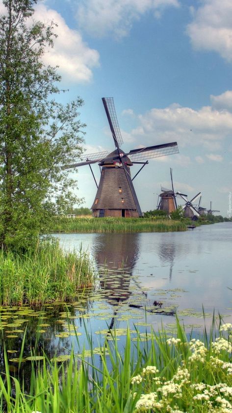 Windmill Images, Netherlands Windmills, Windmills Photography, Windmill Art, Dutch Windmills, Water Wheel, Covered Bridges, Nature Paintings, Watercolor Landscape