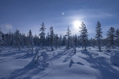 Cold Moon December 2023 Spiritual Meaning December Cold Moon, Full Cold Moon, January Full Moon, December Full Moon, May Full Moon, Sister Sign, Moon Meaning, Moon Names, Next Full Moon