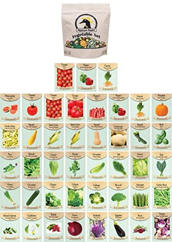 Outdoor Must Haves, Garden Seeds Packets, Vegetable Seeds Packets, Eco Friendly Stores, Squash Plant, Amazon List, Cucumber Plant, Cucumber Seeds, Decals Codes