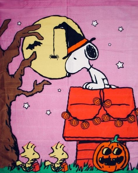 Snoopy & Woodstock Halloween 🎃 Woodstock Halloween, Helloween Wallpaper, Snoopy Dog, Charlie Brown Halloween, Peanuts Halloween, Snoopy Halloween, Snoopy Images, Peanuts Cartoon, Snoopy Wallpaper