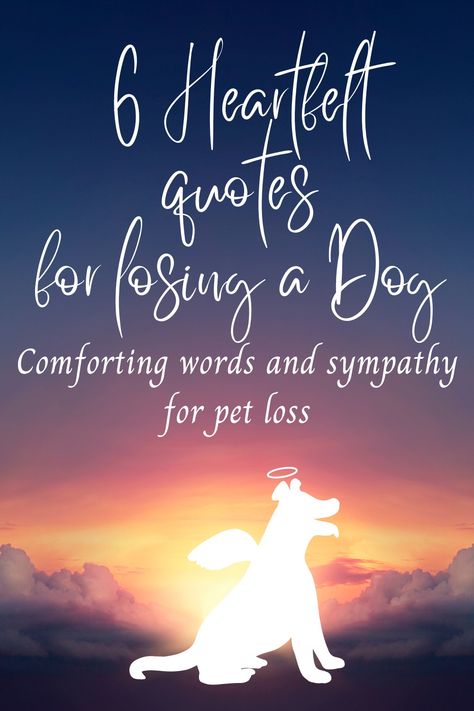 If you have experienced the pain of losing a beloved dog, these grief signs will comfort and console you during that difficult time. They are a perfect gift for someone mourning their dog crossing the rainbow bridge. Dog Rainbow Quotes, All Dogs Go To Heaven Quotes, Losing A Pet Quote Dogs Memories, Pet Passing Quotes, Griefing Your Dog, Quotes For Losing A Dog, Loss Of A Pet Dog, Loss Of Dog Sympathy, Dog Died Quotes Sympathy