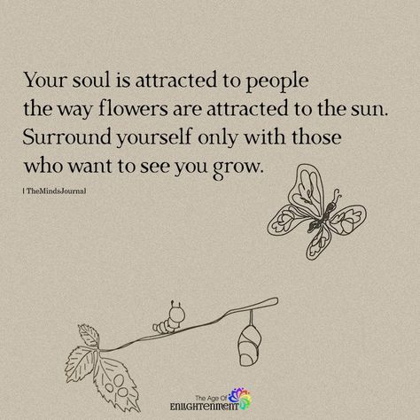 Your Soul Is Attracted To People Powerful Words, Note To Self, Soul Food, Positive Thoughts, Deep Thoughts, Inspiring Quotes, Food For Thought, Beautiful Words, Your Soul