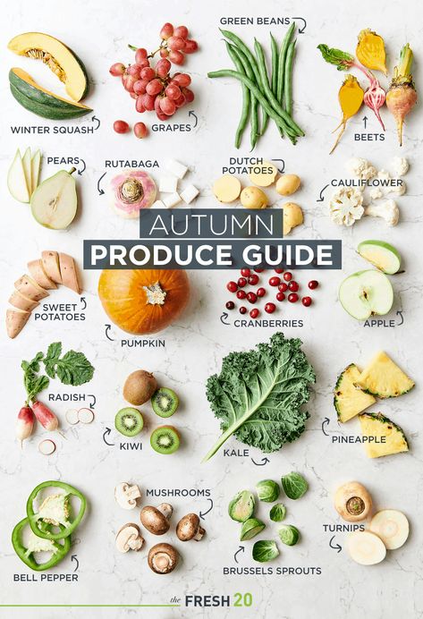 Fall Season Fruits And Vegetables, In Season Fall Produce, In Season Fruits And Vegetables October, Fall Season Vegetables, Fruit And Veggie Season Chart, Fall Foods In Season, Eating With The Seasons Fall, Fall Fruits And Veggies, Fall Fruit In Season