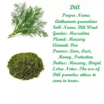 Dill In Witchcraft, Magical Properties Of Dill, Dill Magical Properties, Charms Witchcraft, Witch Plants, Alter Inspiration, Witchy Diy, Medical Plants, Witch Things