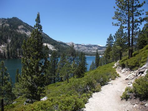 Echo Lake Dog Friendly Hike (South Lake Tahoe) Lake Tahoe Trip, Hiking With Dogs, Healthy Vision, Tahoe Trip, Echo Lake, California Camping, Reno Tahoe, Camping Places, Google Search Console