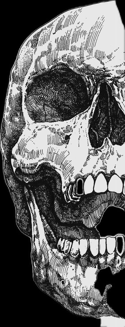 Skull Expressions Drawing, Detailed Skull Drawing, Skull Heart Drawing, Easy Skull Sketch, Skeleton Graphic Design, Skull Ink Drawing, Skull Printmaking, Pile Of Skulls Drawing, Skull Reference Anatomy