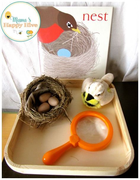 Montessori Inspired Bird Unit includes life-cycle of birds, Montessori bird puzzle, examining a nest, DIY bird feeder, pre-reading work, and practical life. - www.mamashappyhiv... Build A Bird Nest, Birds Preschool, Bird Puzzle, Morning Outside, Nest Diy, Birds Theme, Montessori Science, Birds Nests, Montessori Lessons