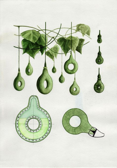 Alexandra Daisy Ginsberg's "Growth Assembly" seeks to use living organisms for the growth and production of materials used in product design. Bio Design, Eco Furniture, Speculative Design, Ecology Design, Bio Art, Gourds Crafts, Eco Design, Design Studios, Tree Shapes