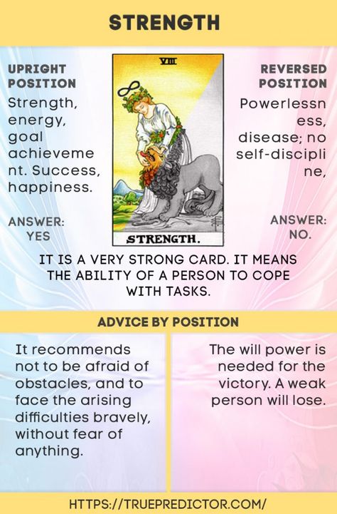 The Strength — meaning for love, future and money Strength Tarot, Tarot Reading Spreads, Tarot Interpretation, Tarot Significado, Tarot Cards For Beginners, Learning Tarot Cards, Tarot Guide, Tarot Card Spreads, Tarot Book