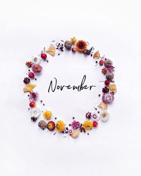 November Flower, Welcome November, Seasons Months, Monthly Quotes, Season Quotes, Autumn Wallpaper, Hello November, November Birthday, Iphone Wallpaper Pattern