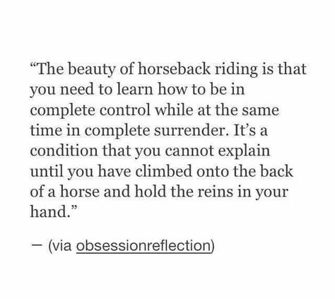 Horseback Riding Quotes, Equine Quotes, Horse Quotes Funny, Inspirational Horse Quotes, Horse Riding Quotes, Equestrian Quotes, Riding Quotes, Cowgirl Quotes, Horse Riding Tips