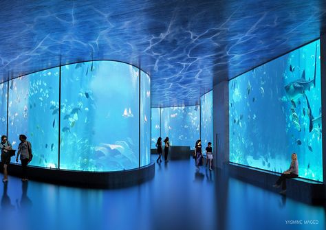 Ocean Exhibition, Aquarium Art, Hayday Farm Design, Aquarium Architecture, Public Aquarium, Museum Plan, Ocean Aquarium, Sea Aquarium, 3d Cinema