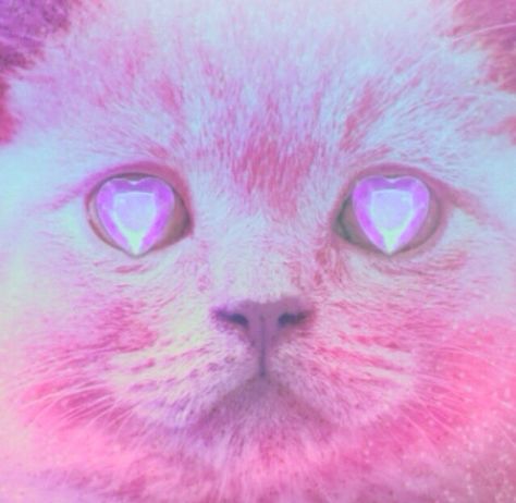 . Trippy Cat, Diamond Eyes, Witch House, Doja Cat, Pastel Goth, Crazy Cat Lady, Crazy Cats, Cat Art, Harajuku