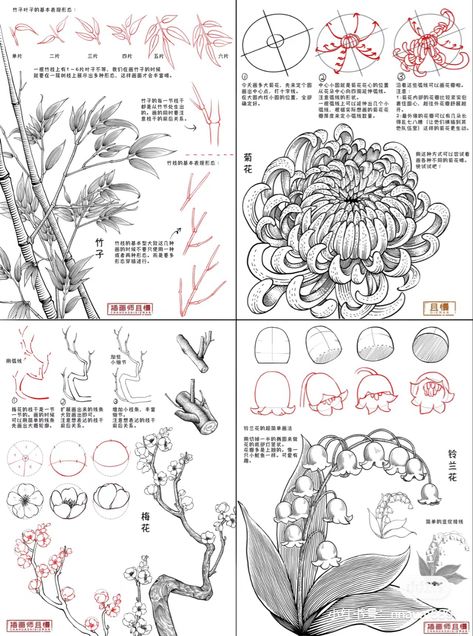 Foliage Drawing Tutorial, Flower Sketch Reference, Fantasy Flowers Drawing, Drawing Flowers Tutorial, Chinese Art Tutorial, How To Draw Plants, Flower Tutorial Drawing, Chinese Sketch, Chinese Flower Painting