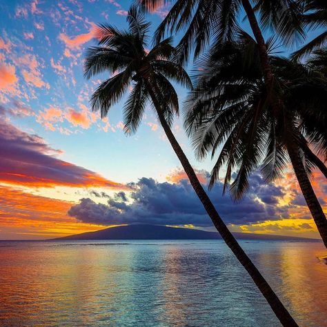 Instagram post by Karyn • Apr 27, 2019 at 3:13pm UTC Strand Wallpaper, Lahaina Hawaii, Sunset Palm Trees, Hawaii Sunset, Photography Wildlife, Pretty Landscapes, Wildlife Photos, Beach Wallpaper, Summer Wallpaper