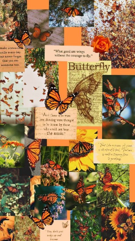 Wallpapers Iphone, A Collage, Aesthetic Wallpaper, Butterflies, Iphone Wallpaper, Wallpapers, Collage, Iphone, Flowers