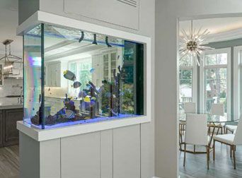 Aquarium Mural, Fish Tank Wall, Custom Aquarium, Wall Aquarium, Amazing Aquariums, Divider Design, Home Aquarium, Living Room Partition, Living Room Partition Design