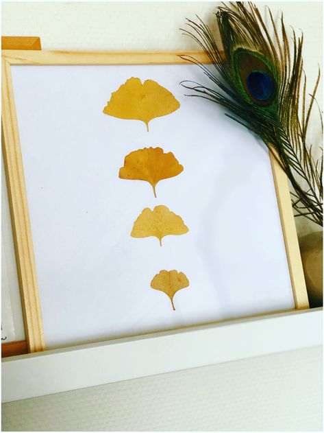 Ginko Leave, Dry Leaf Art, Ginko Leaves, Ginko Biloba, Coloring Posters, Christmas Crafts Diy Projects, Pressed Flower Crafts, Gingko Leaves, Ginkgo Leaves